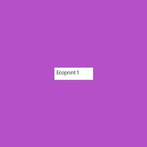 Écoprint 1