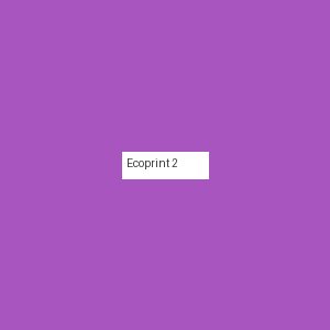 Écoprint 2