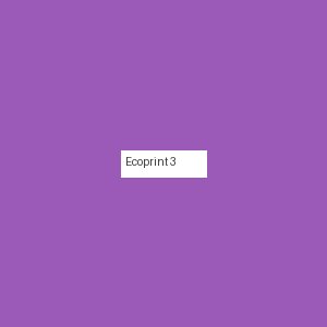 Écoprint 3