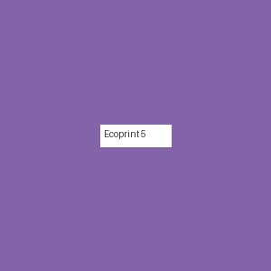 Écoprint 5
