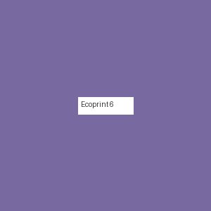 Écoprint 6