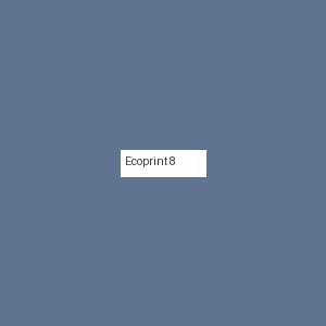 Écoprint 8