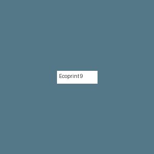 Écoprint 9