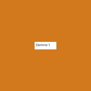 Étamine 1