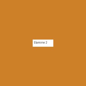 Étamine 2