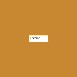 Étamine 3