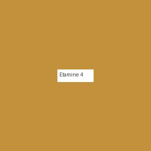 Étamine 4
