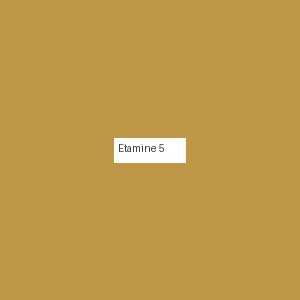Étamine 5