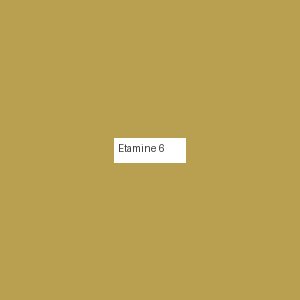 Étamine 6