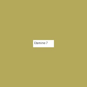 Étamine 7