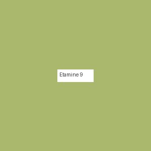 Étamine 9