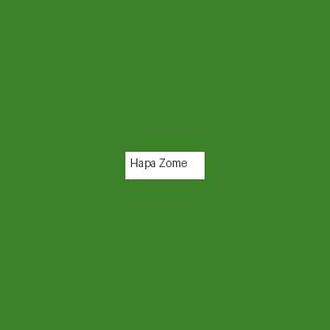 Hapa Zome